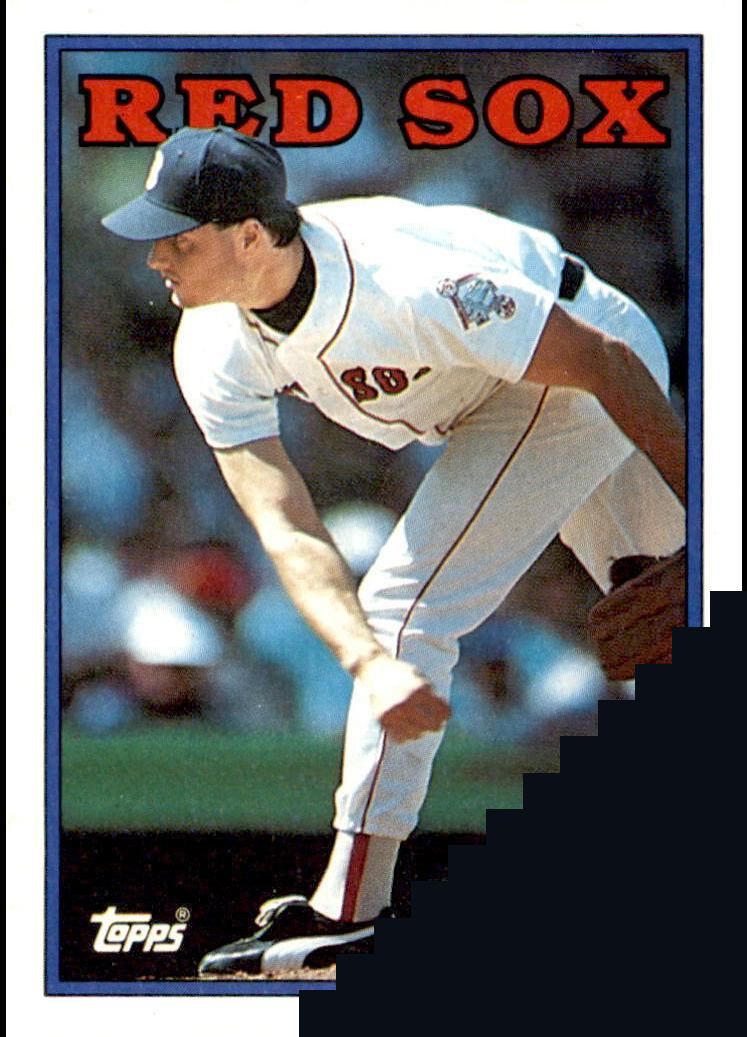 Masked 1988 Topps Baseball card